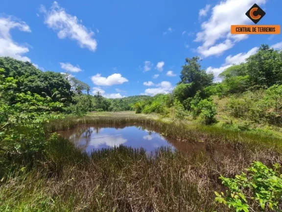 Imagem SITIO RURAL em CAMAÇARI - BA, JORRINHO