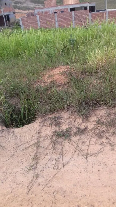 Imagem Terreno a Venda no bairro Cidade Praiana - Rio das Ostras, RJ