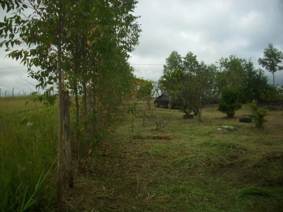 Imagem Chácara com 1000 m² à venda em Porangaba.