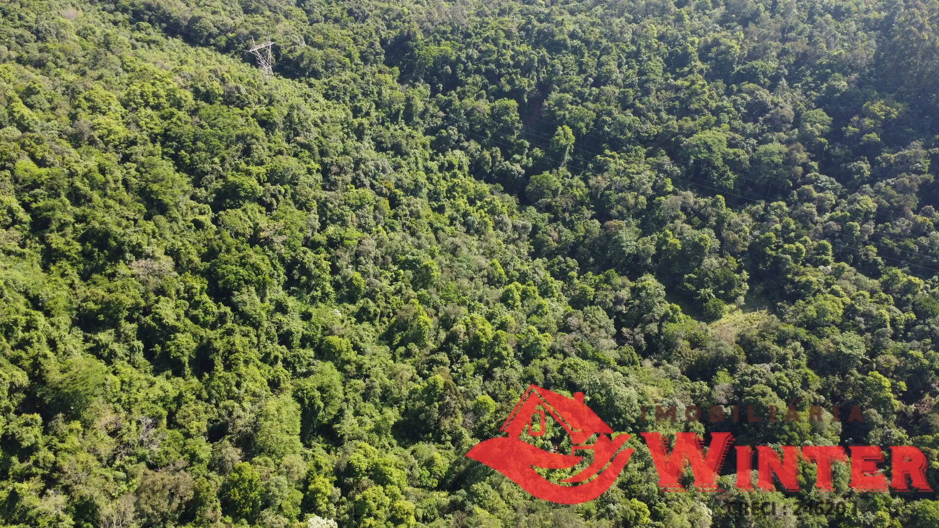 Imagem Área de terras com 10 hectares em Linha Nova