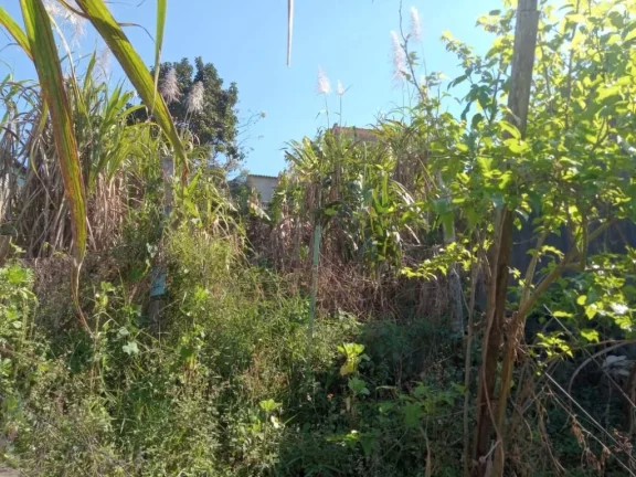 Imagem Terreno à venda, 300 m² por R$ 250.000,00 - Jardim Ikeda - Suzano/SP