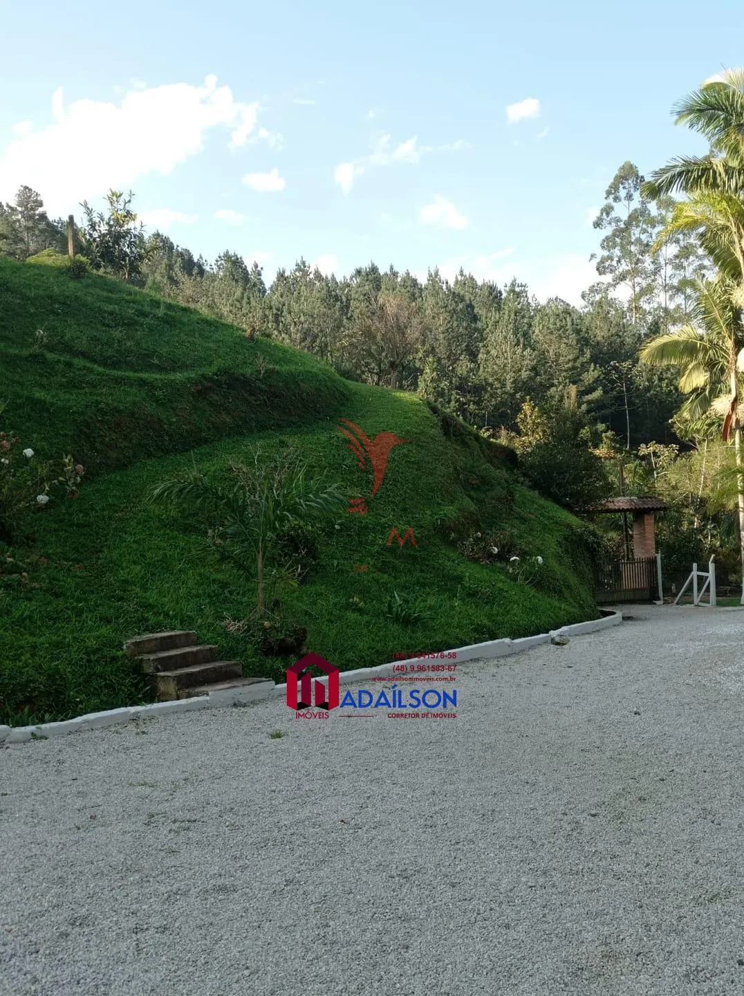 Imagem CHÁCARA A VENDA UM ÓTIMO INVESTIMENTO PARA INVESTIDORES LAJEADO ALTO, GUABIRUBA SC