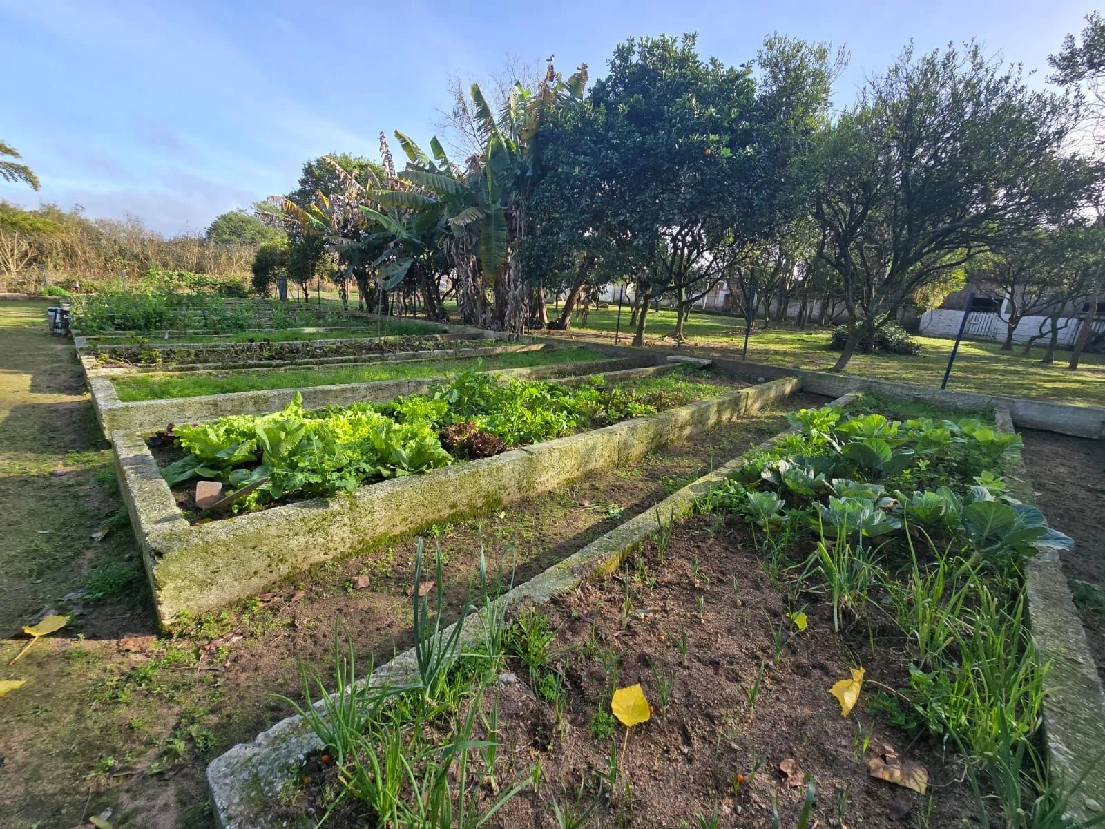 Imagem Sitio na Restinga com 2 casas e ótima oportunidade para investimento