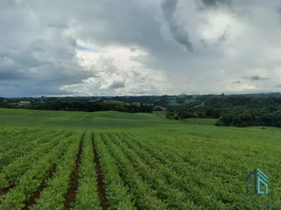Imagem Terreno com 9,2 Alqueires, área verde ideal para plantio ou construção, em Campo Largo PR