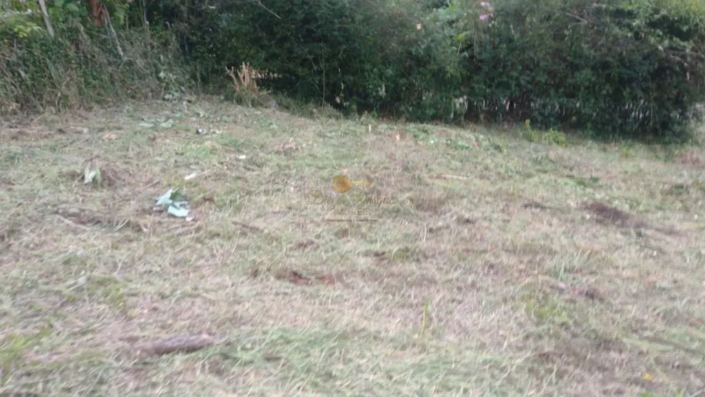 Imagem Terreno para Venda em Teresópolis / RJ no bairro Albuquerque