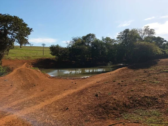 Imagem FAZENDA AVARÉ-SP
