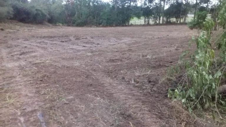 Imagem Terreno excelente a venda para Chácara com 8 mil m² no asfalto - em Quadra
