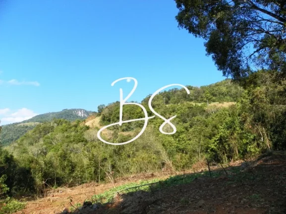 Imagem SITIO RURAL em NOVA PETRÓPOLIS - RS, Linha Pirajá Baixa