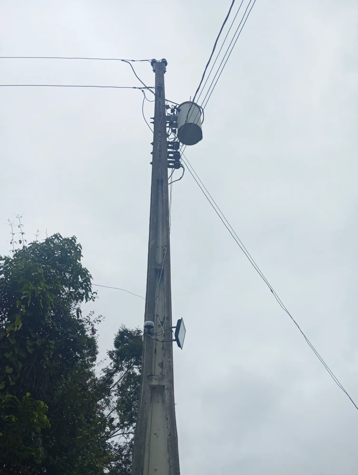 Imagem Sítio à Venda, 20000 metros em Nova União - Nova União