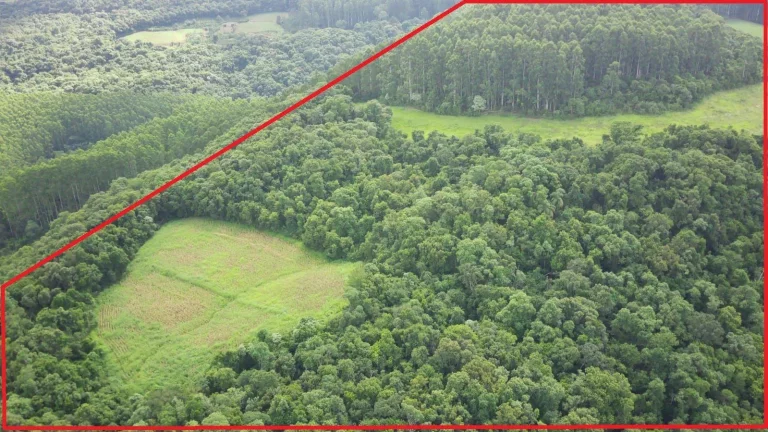 Foto do imóvel Área Agrícola para Venda em Concórdia, Concórdia em Rural