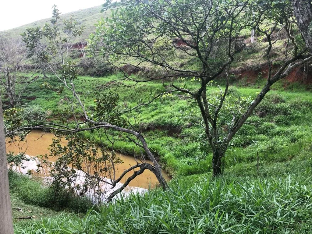 Imagem Chácara à venda 1 Quarto, 57596M², Pinga, Pindamonhangaba - SP