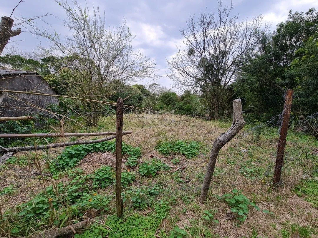 Imagem Terreno para Venda - 0m², 0 dormitórios, Tristeza
