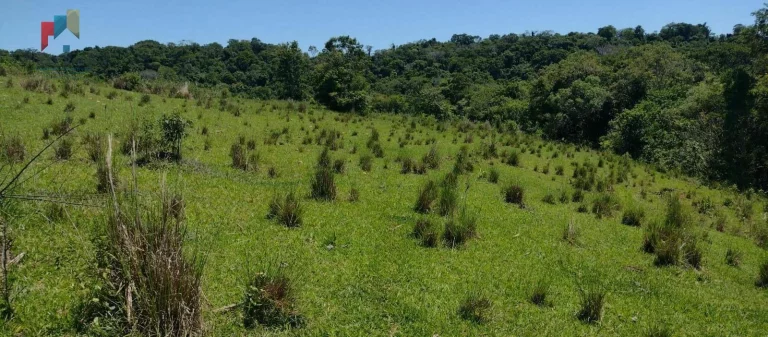 Imagem Sítio à venda no bairro Centro - Guareí/SP