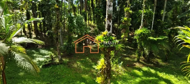 Imagem CHACARA RURAL em JOINVILLE - SC, RIO BONITO (PIRABEIRABA)