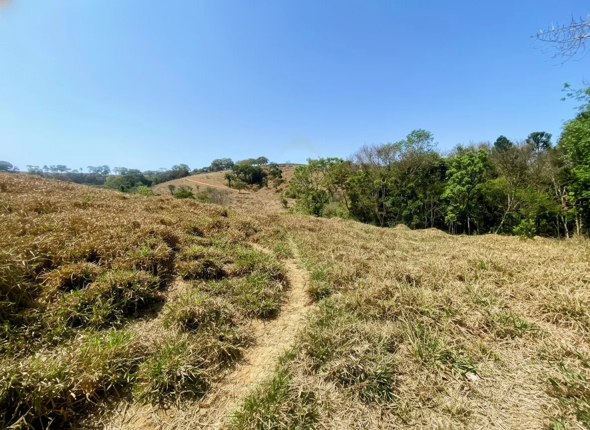 Imagem Sítio 2,42 ha à venda em Correias, Bandeira do Sul