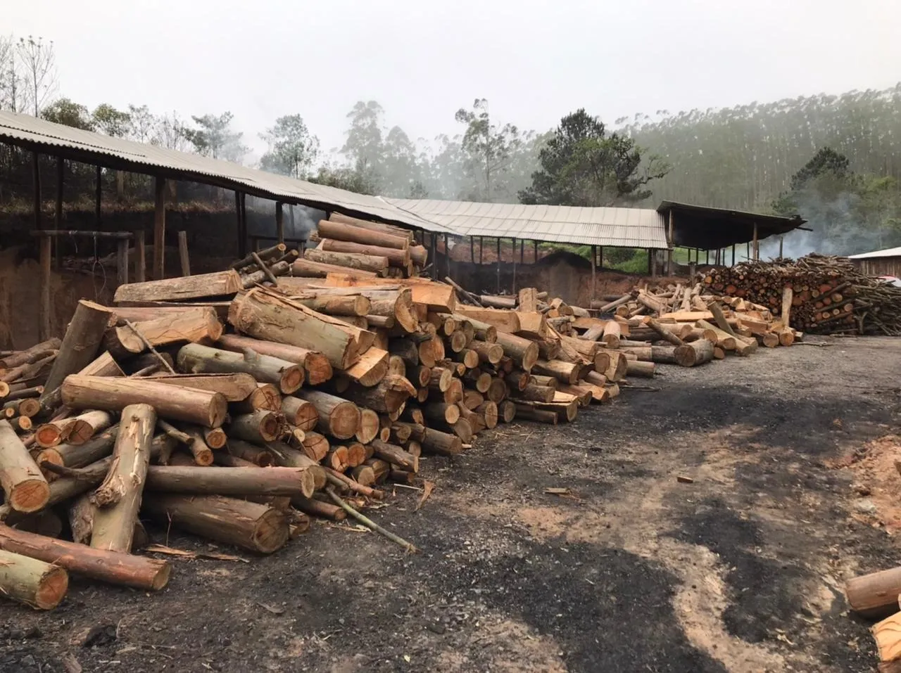 Imagem Refúgio Sereno: Propriedade com Carvoaria e Potencial de Renda em Pilar do Sul