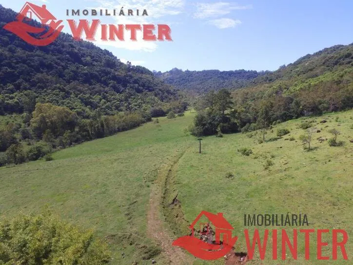 Imagem Fazenda de 61 hectares na cidade de Linha Nova.