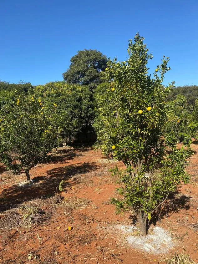 Imagem Oportunidade em Lagoa Santa/MG: Terreno a venda de 13,1 Hectares