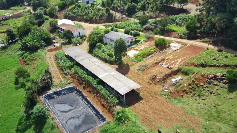 Imagem Área Agrícola para Venda em Arabuta, Rodovia