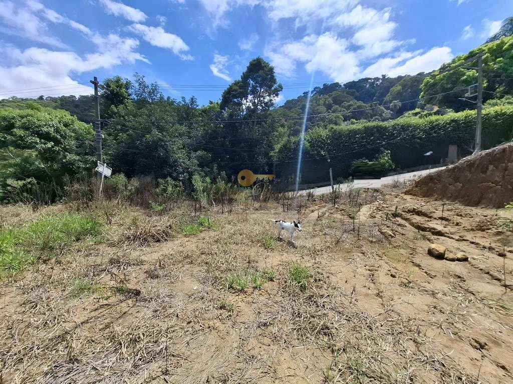 Imagem Terreno para Venda em Teresópolis / RJ no bairro Albuquerque