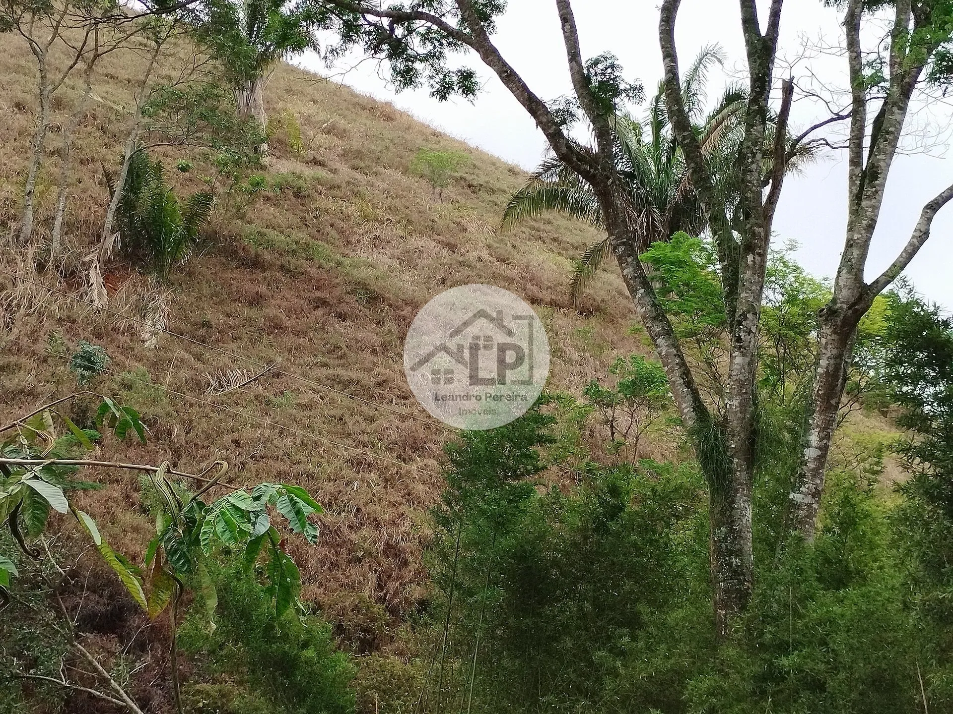 Imagem Lote/Terreno de 1560m² no bairro Caiçara, em Piraí