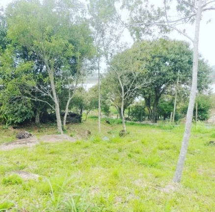 Imagem Terreno à venda em Garopaba-SC, bairro Macacu! 2.000m² com vista panorâmica. Venha conferir!
