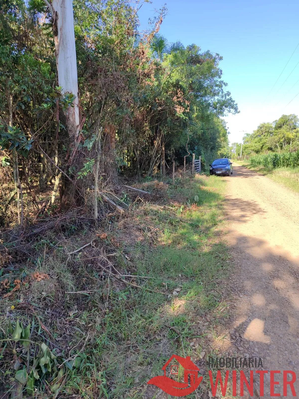 Imagem Área de terras plana com 4.800,00m² em Morro São Pedro, Bom Princípio.