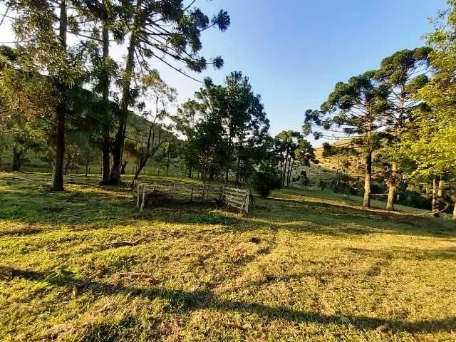 Imagem Chácara à venda 170000M², Paraibuna, Cunha - SP