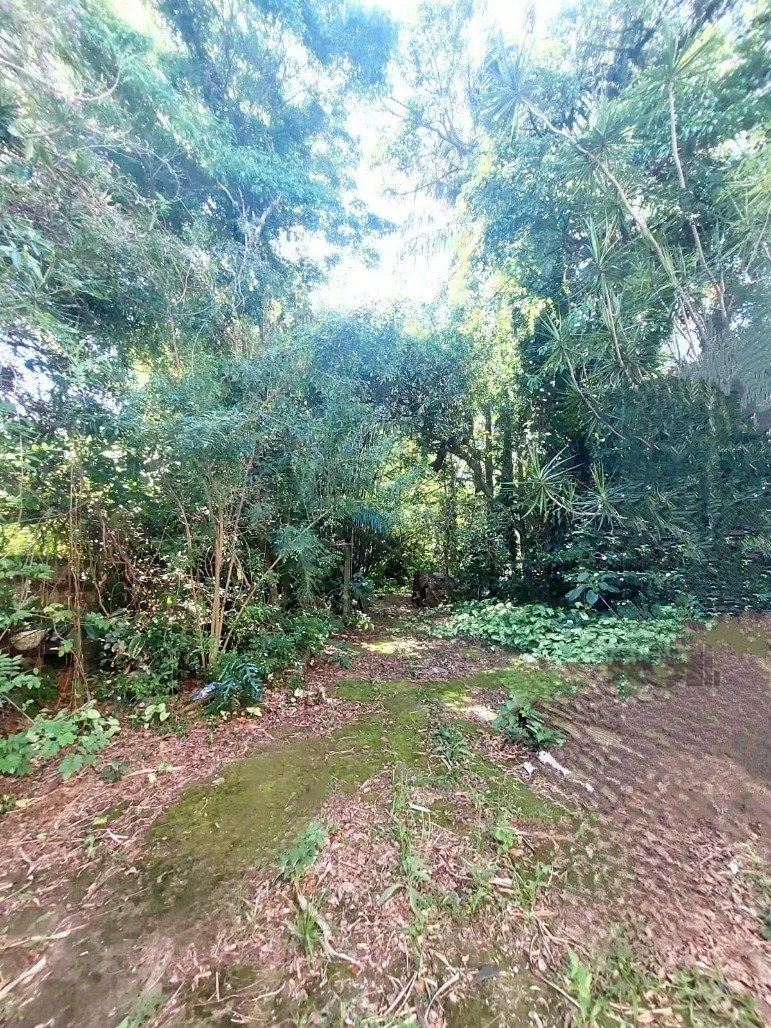 Imagem Terreno em Glória