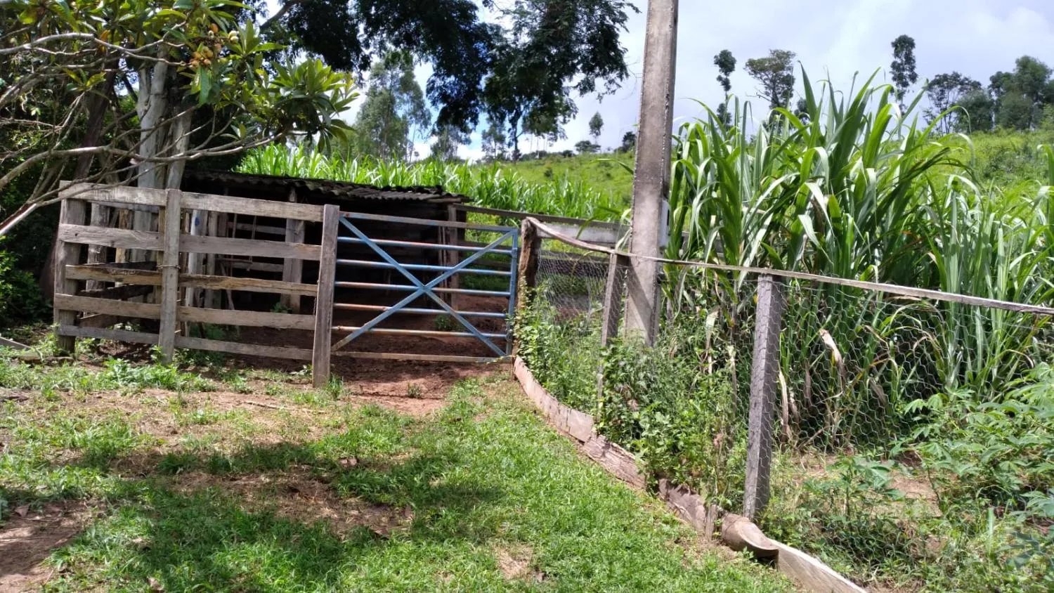 Imagem Vendo um ótimo sítio em Itaguara/Mg com 78.000 m² de terra,