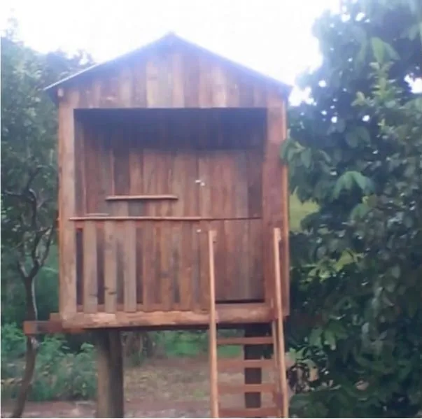 Imagem Chácara à venda 2 Quartos, 3860M², Zona Rural, Taubaté - SP