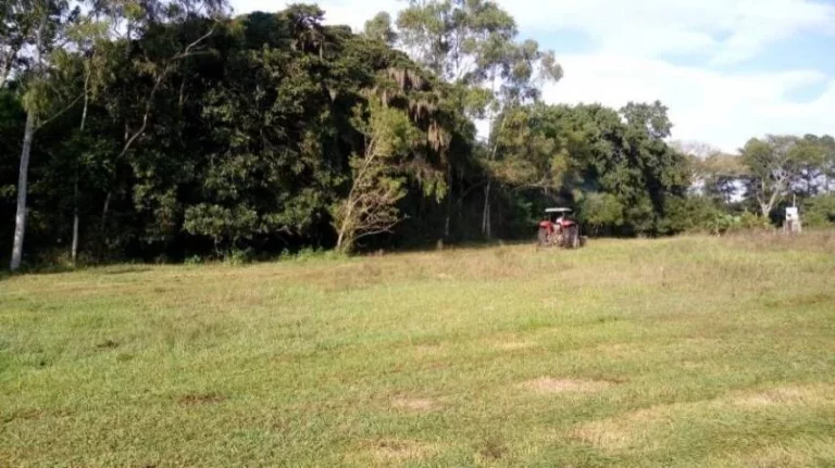 Imagem Sitio com 5.536m², mata nativa, Lagoa nos fundos, Águas Claras/ Viamão