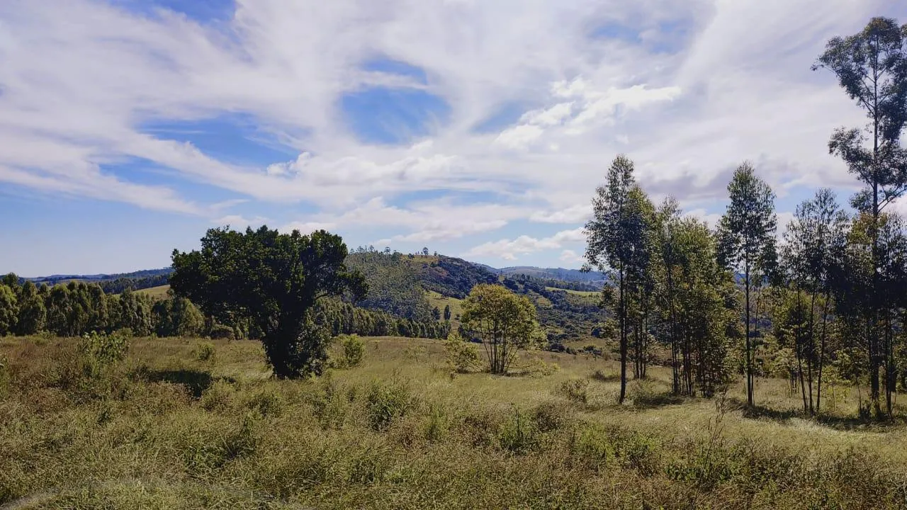 Imagem Excelente Terreno à Venda em Desterro de Entre Rios: 15 Hectares Totalmente Plano