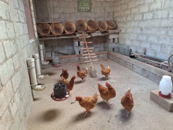 Imagem Chácara à Venda no Bairro Tanque – Águas de Lindóia/SP