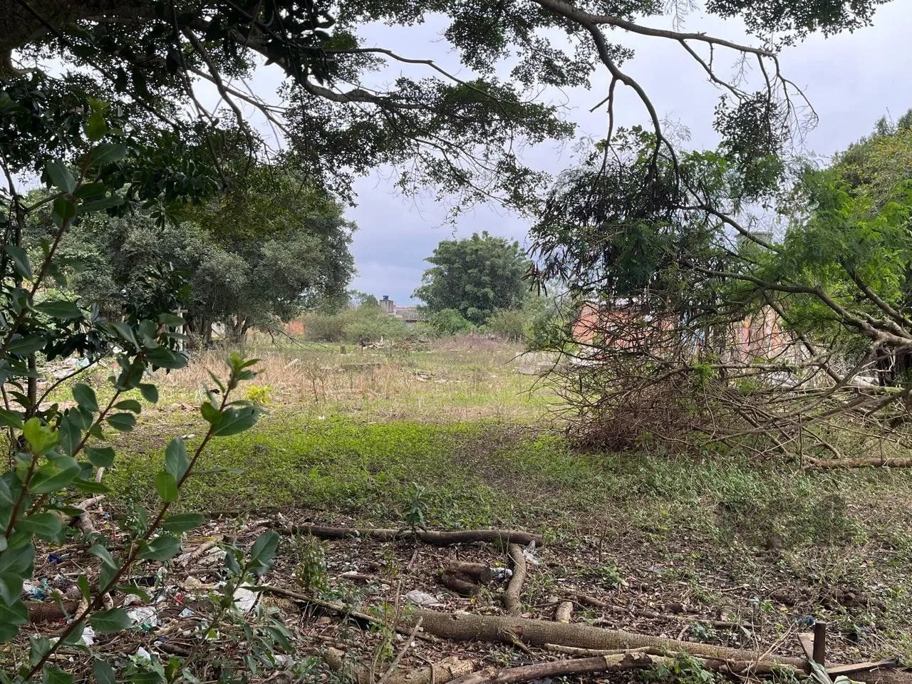 Imagem Terreno 3.000m² Bairro São João