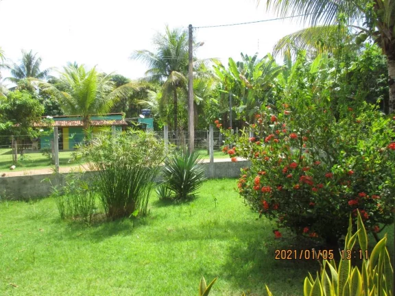 Imagem Yellow House Algodões