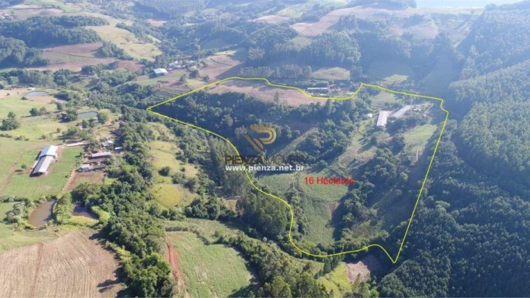 Imagem Granja para Venda em Lindóia do Sul, Interior