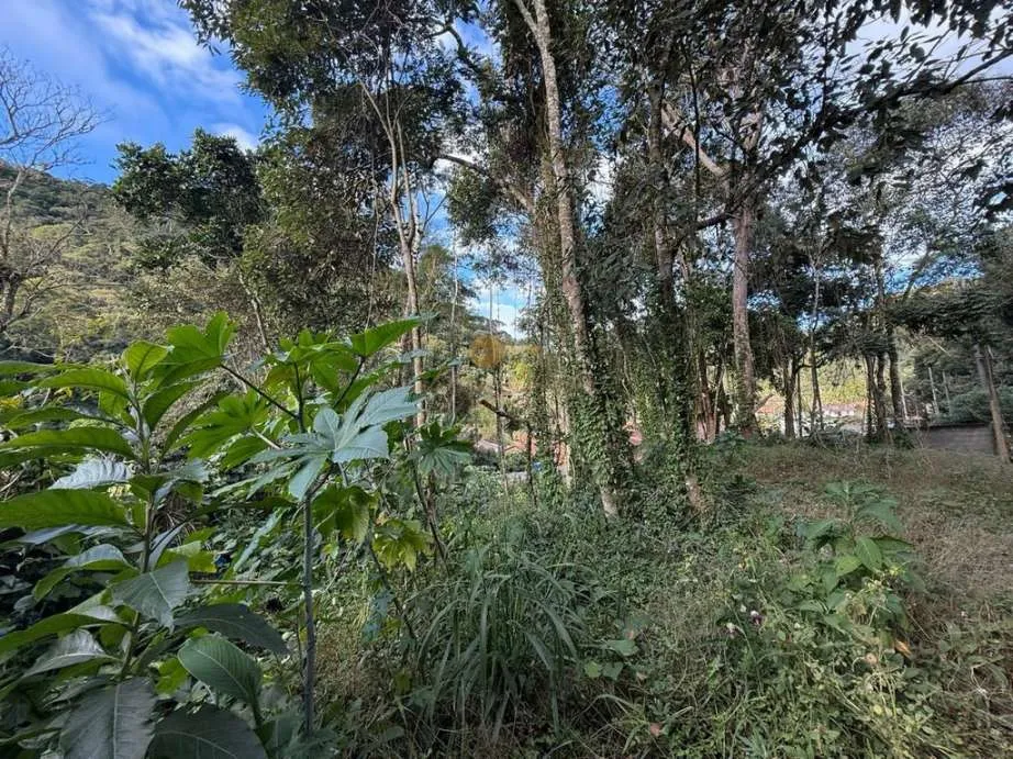 Imagem Terreno para Venda em Teresópolis / RJ no bairro Albuquerque