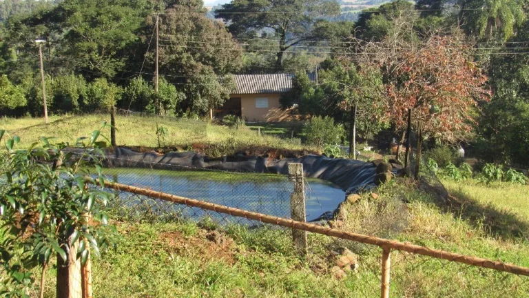 Imagem Área Agrícola para Venda em Lindóia do Sul, Linha Mimosa