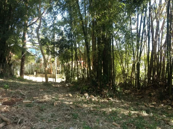 Imagem Terreno de 3.013 m² com vista para a Lagoa na Praia da Ferrugem, Garopaba-SC