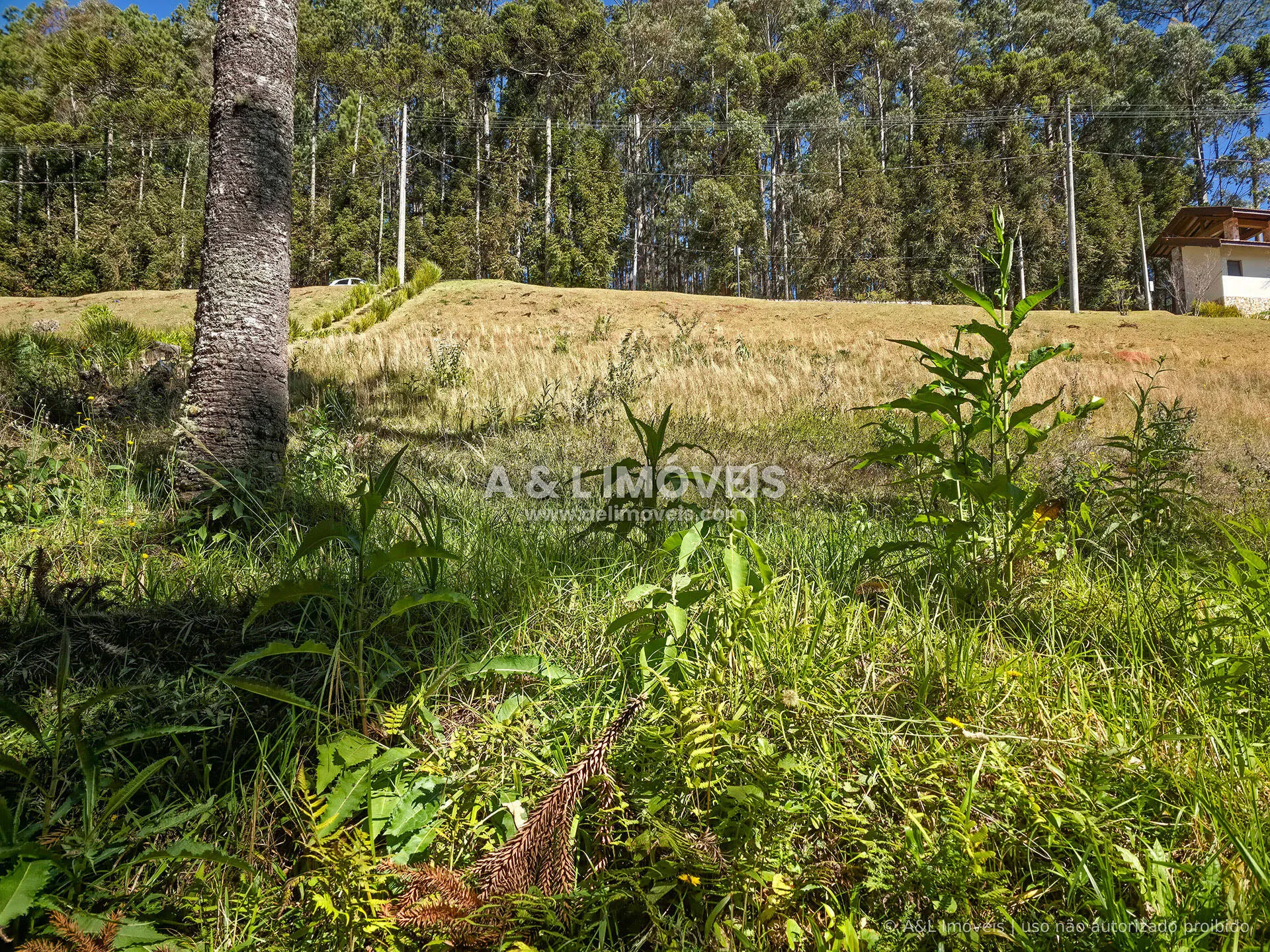Imagem Lote à venda no Reserva Figueiredo em Campos do Jordão | 1.146,58 m²
