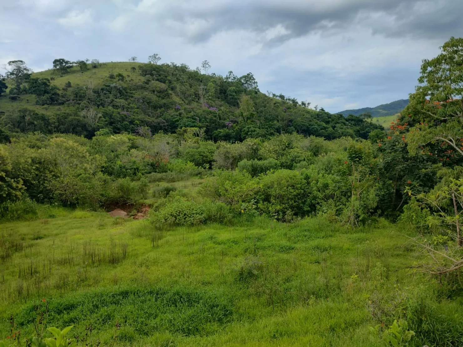 Imagem Chácara à venda 3 Quartos, 1 Suite, 20 Vagas, 24000M², Registro, Taubaté - SP