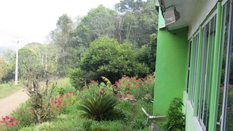 Imagem Área Agrícola para Venda em Peritiba, Lageado Mirim