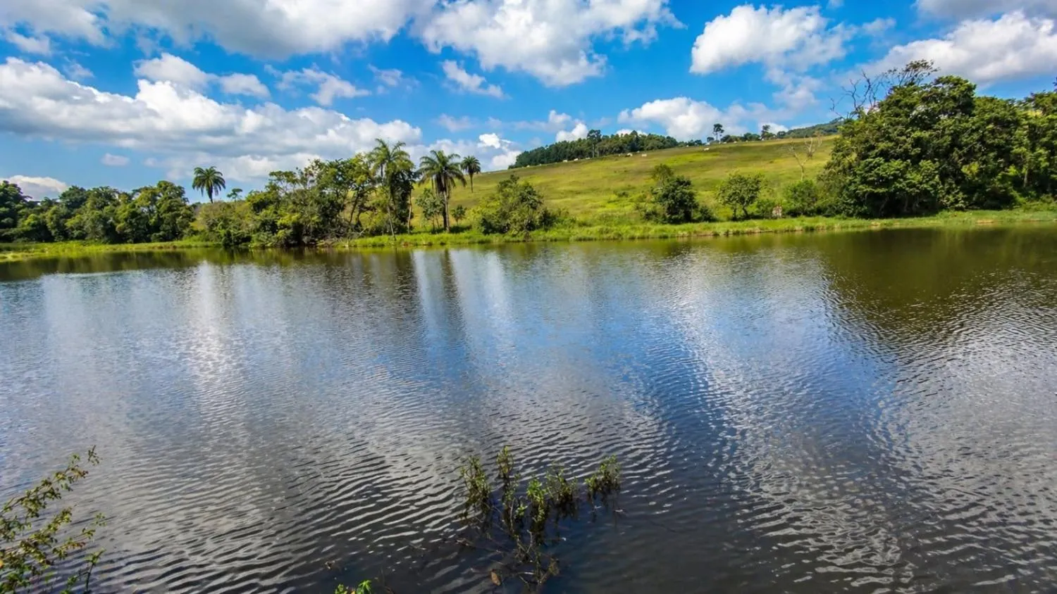 Imagem Excelente sitio a venda em Brumadinho/MG - 6 hectares de terra