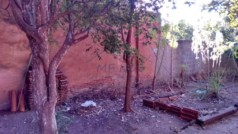 Imagem Casa Padrão