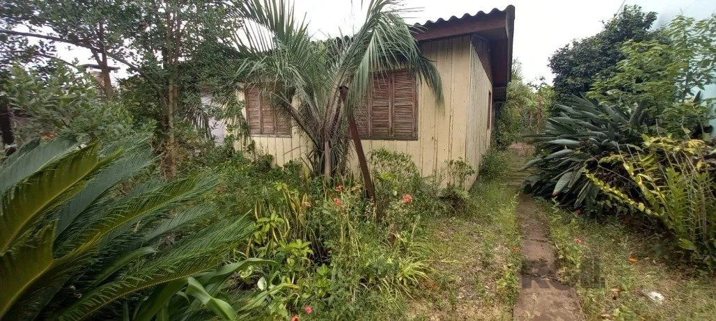 Imagem Terreno em Vila Nova