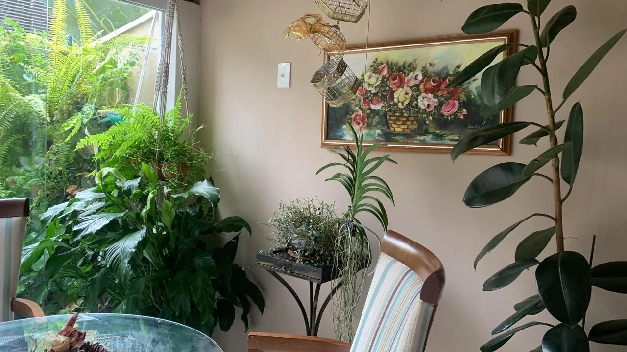 Imagem Apartamento com Terraço para Locação em Camboriú, Rio Pequeno, 2 dormitórios, 1 banheiro, 1 vaga
