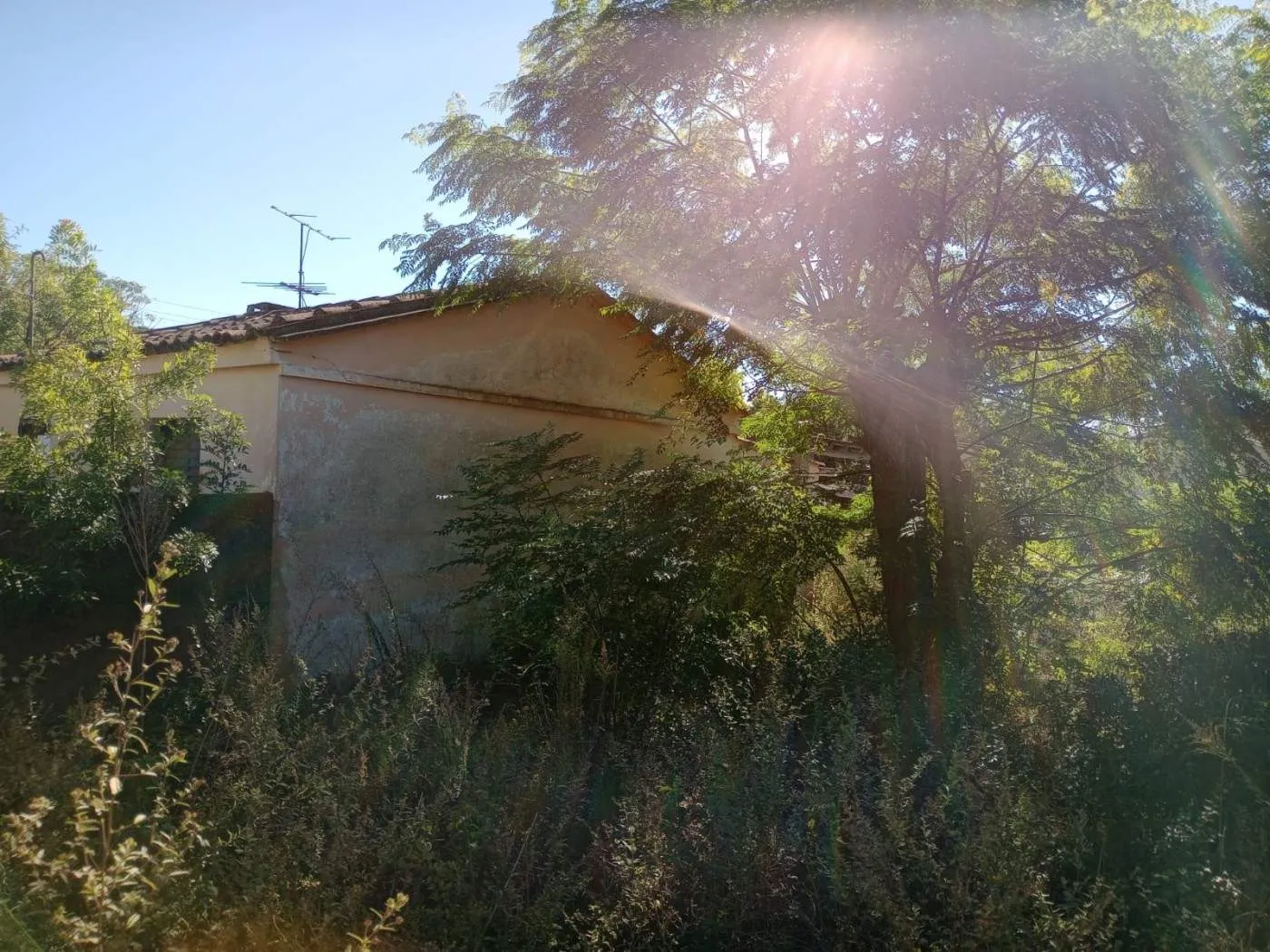 Imagem Casa para Venda em Pedro Osório, Centro, 2 dormitórios, 1 banheiro, 1 vaga