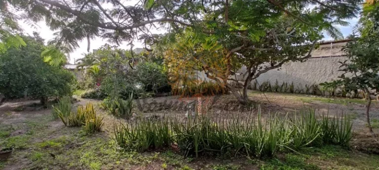 Imagem Chácara a venda no Bairro Robalo. Estrada 3 Porquinhos.