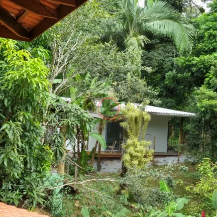 Imagem LINDA CASA, 3 SUITES C/AR COND, MUITO VERDE,DESENHO ARQUITETÔNICO e 1 STUDIO/SUÍTE EXTERNA C/ BANHEIRA DE IMERSÃO EM 900 MT ²